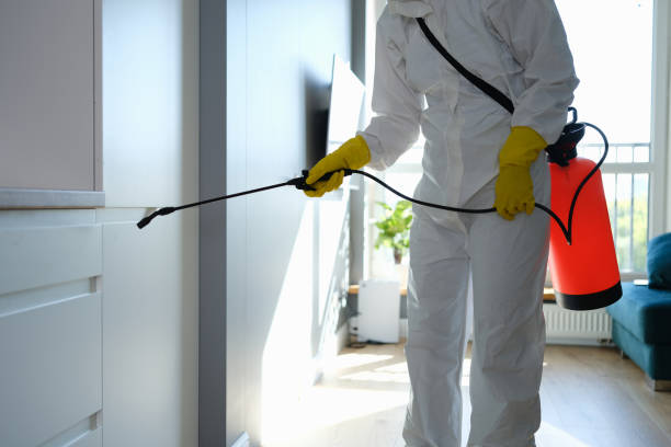 Best Certified Mold Removal  in Snow Hill, MD